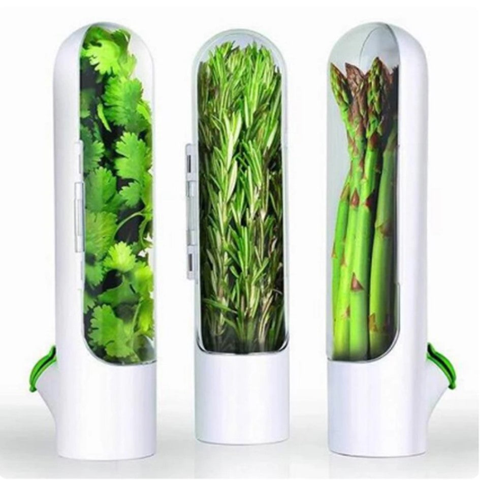 Contenedor de Hierbas para Refrigerador Recipiente Protector de Cilantro