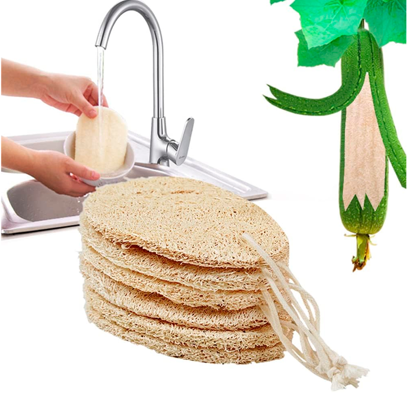 Pack 5 Esponjas de Lufa para Cocina Esponja Natural Exfoliante