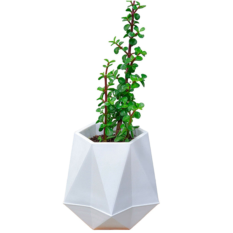 Macetero De Plastico Moderno Wakeshome Ancho 17cm Alto 30cm