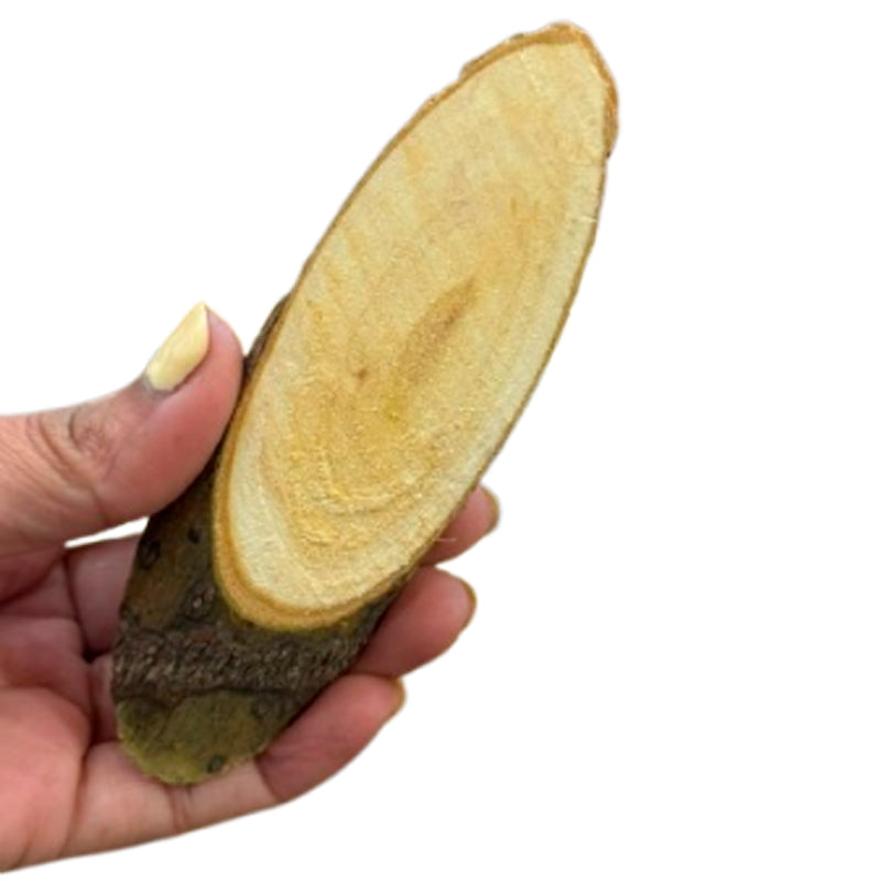 Mini trozos de Arbol de Pino Redondos Ecológicos para Adornos de Arte y Manualidades