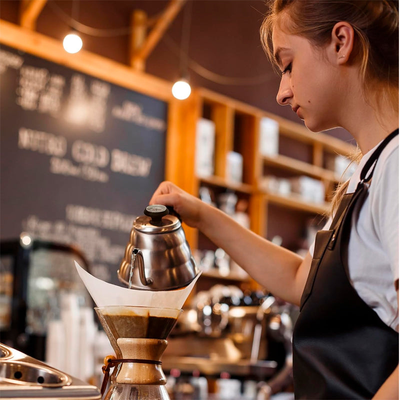 Hervidor 1.2l Tetera Para Café Y Té Por Goteo Con Termómetro