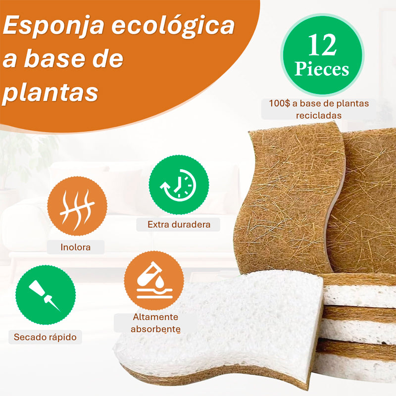 Pack 12 Esponjas de Cocina Naturales Esponja de Fregado de Celulosa y Coco Biodegradable
