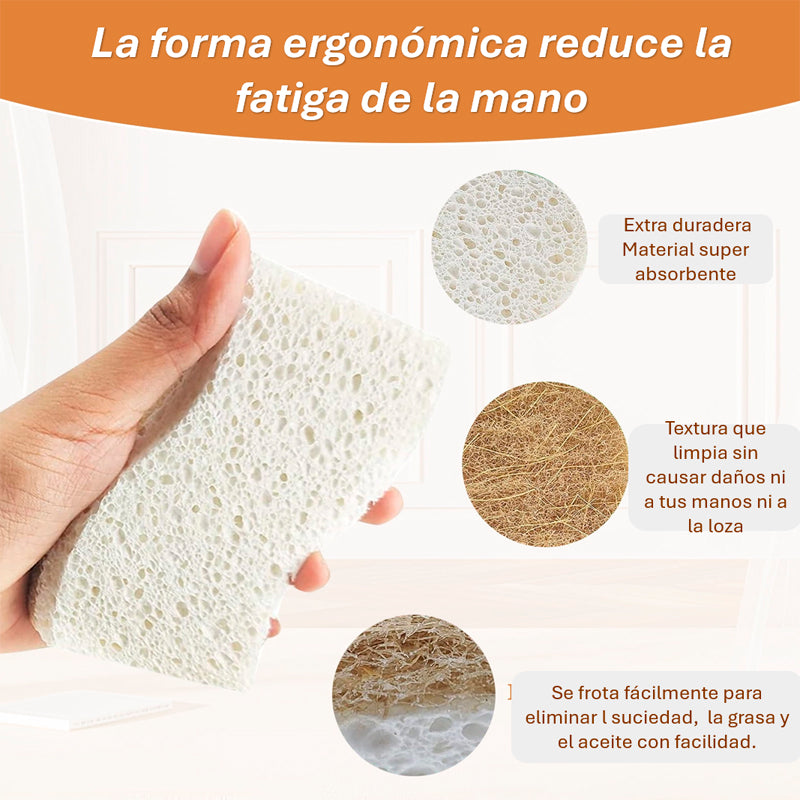 Pack 12 Esponjas de Cocina Naturales Esponja de Fregado de Celulosa y Coco Biodegradable