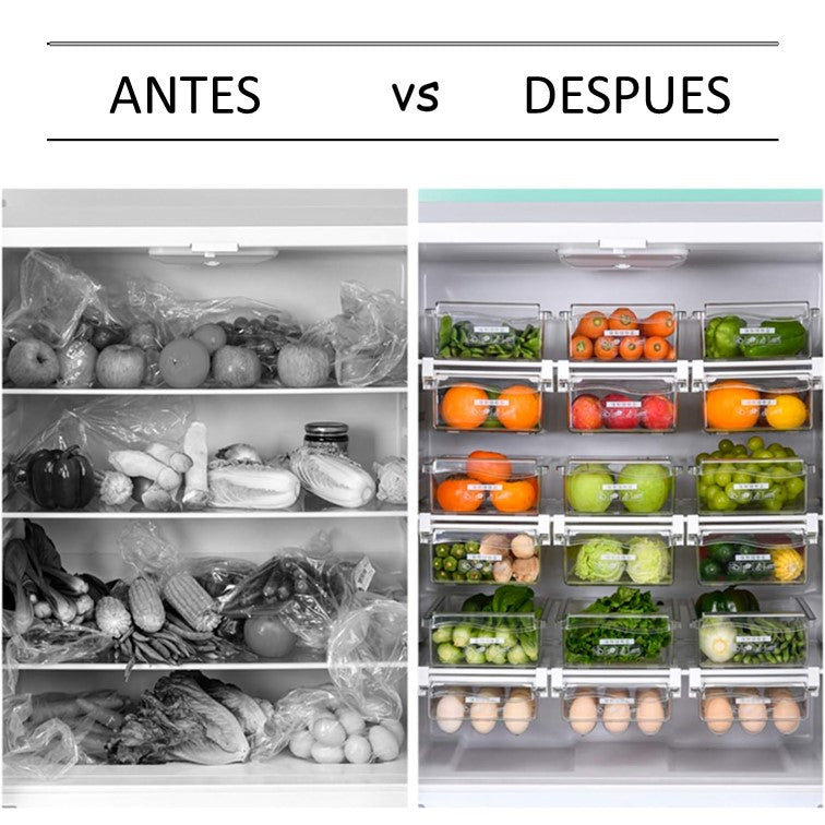 Bandejas para Refrigerador Organizador de Huevos Vegetales y Frutas