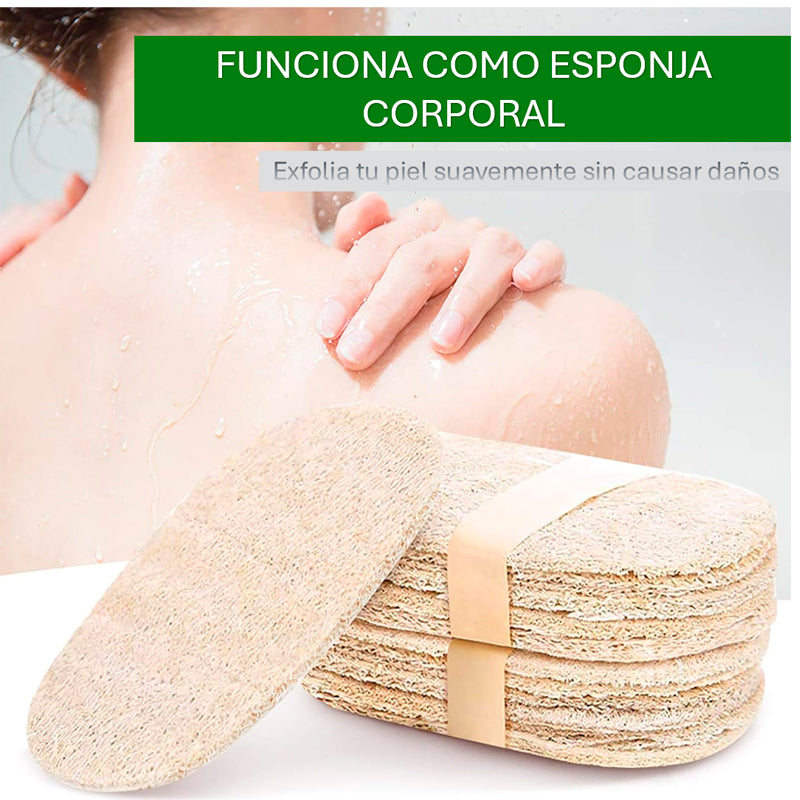 Pack 5 Esponjas de Lufa para Cocina Esponja Natural Exfoliante