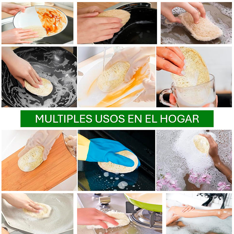 Pack 5 Esponjas de Lufa para Cocina Esponja Natural Exfoliante