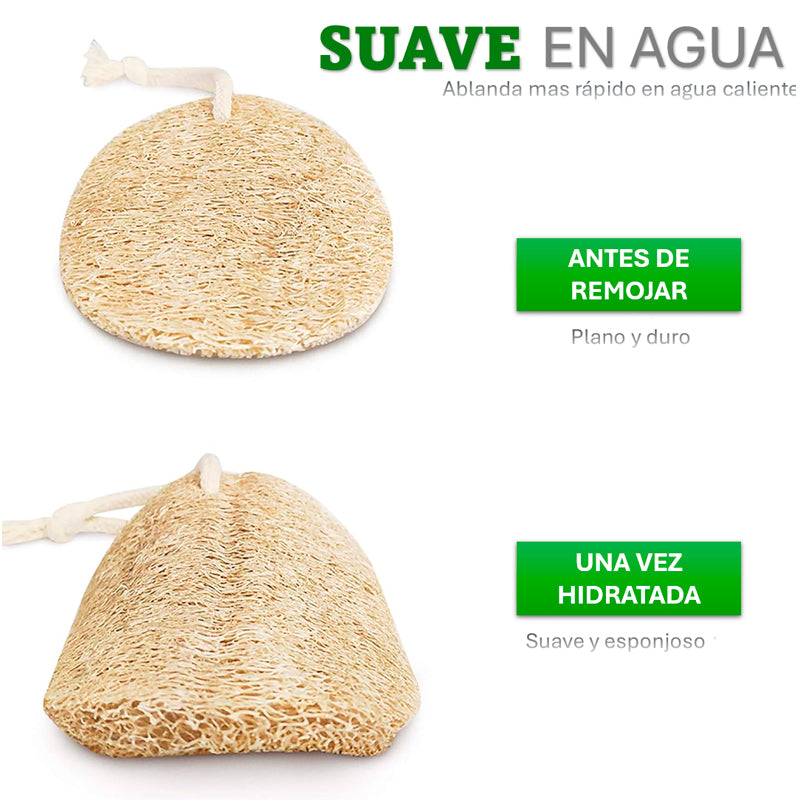 Pack 5 Esponjas de Lufa para Cocina Esponja Natural Exfoliante