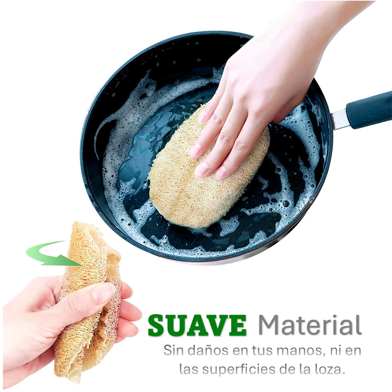 Pack 5 Esponjas de Lufa para Cocina Esponja Natural Exfoliante